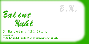 balint muhl business card